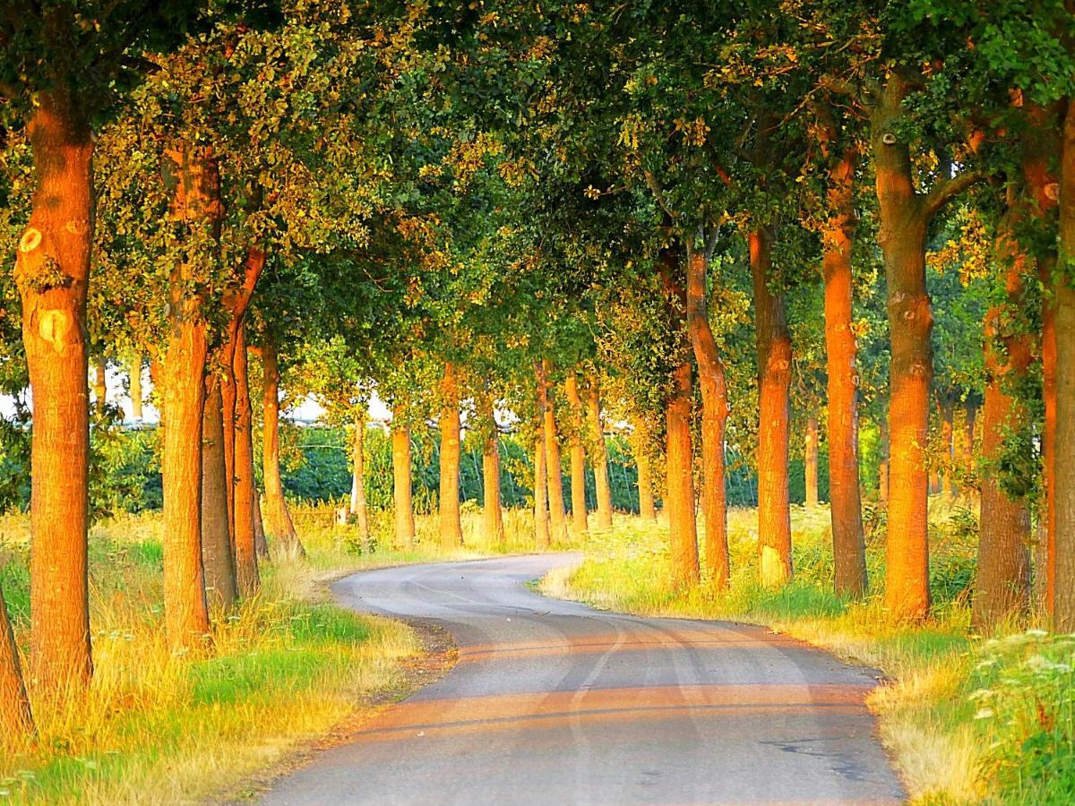 Boerderij Zonneveld