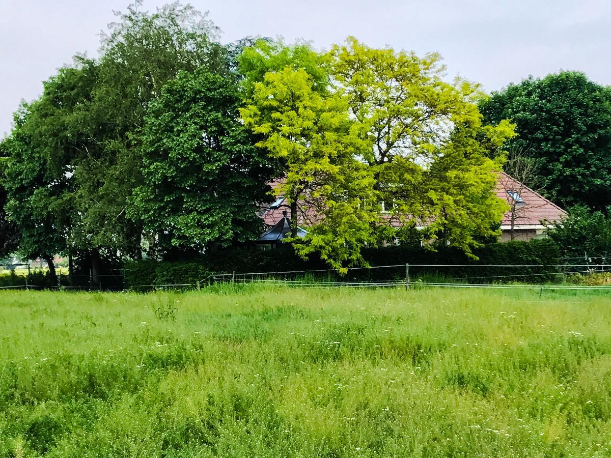 Boerderij Zonneveld Holiday home